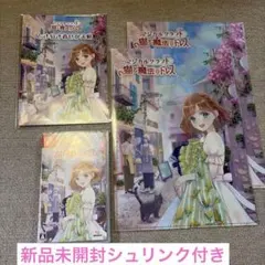 任天堂Switchマジカルクラフト 猫と魔法のドレス　　着せ替え帖クリアファイル