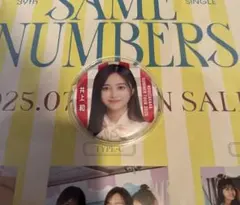 Item thumbnail for item 71b896a6-0fef-47d0-8d25-f8a0ba846616