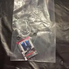 仮面ライダーめじるしアクセサリー3 ライダーカード