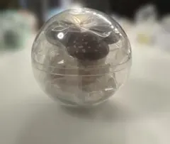 こびとづかん　カプリウムコレクション　ベニキノコビト
