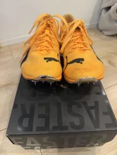 2026年最新】エヴォスピード ニトロの人気アイテム - メルカリ