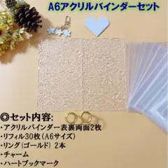 A6 バインダー リフィル30枚 推し活　シール帳　貯金 韓国 白波柄 家計簿