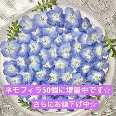 chillchill様 リクエスト 4点 まとめ商品