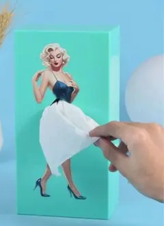 ⭕️マリリン・モンロー ティッシュボックス