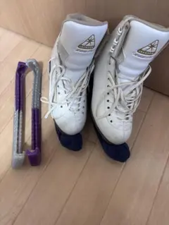 Item thumbnail for item 443b6a2d-9561-4755-a6b8-d22c820e19e5