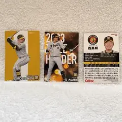 プロ野球選手 阪神タイガース