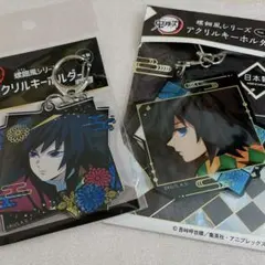 鬼滅の刃 螺鈿風シリーズ アクリルキーホルダー 冨岡義勇 2個セット