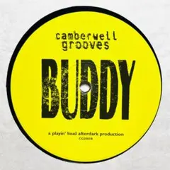 Basement Jaxx レコード　10点 BASEMENT JAXX / ROOTY – TICRO MARKET