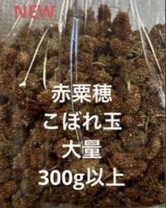 Item thumbnail for item 851be4e7-61f0-4c44-9716-94544ac5b8dd