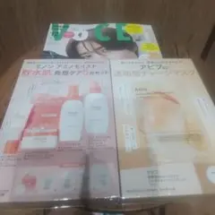 VOCE１２月号　増刊　雑誌＋一部付録