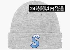supreme ビーニー　ニット帽　雪　ニューエラ