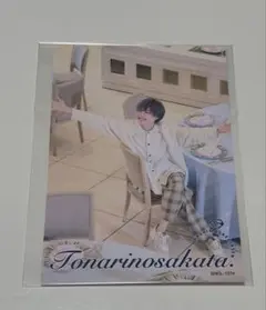 27枚　浦島坂田船　となりの坂田　あほの坂田　チェキ　フォトカード　フォトカ 浦島坂田船。あほの坂田。となりの坂田。 ミニフォトカード チェキ