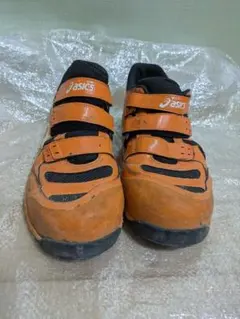 Item thumbnail for item 9d8cb379-36d2-4cd3-a841-ca2cd95edbbd