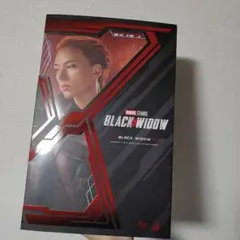 林俊孝ホットトイズ エイジ・オブ・ウルトロン ブラック・ウィドウ メルカリ