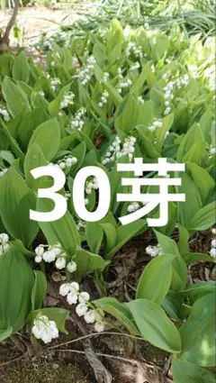 ひさご屋様 リクエスト 2点 まとめ商品