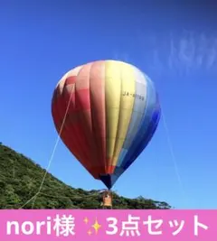 nori様 リクエスト 3点 まとめ商品