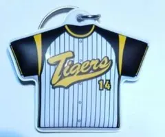 Item thumbnail for item 12b334db-6a3d-4efe-98f8-afcc10895dcb