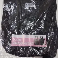 新品 未使用】櫻坂46 一番くじ ラスト賞 2WAYデイパック - メルカリ