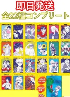 ナツコミ 書き下ろし メタキラカード 全22種 コンプリート - メルカリ