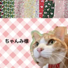 ちゃんみ様 リクエスト 3点 まとめ商品