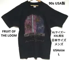 90s USA製 フルーツオブザルーム ワシントンDC アートTシャツ