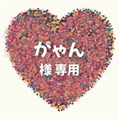 がゃん様　専用ページ　2セット＋ペン1セット