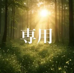 メグル様 専用ページ