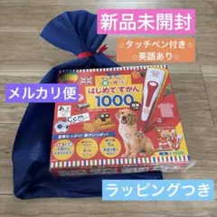 【新品未使用タッチペン付き】【送料込】はじめてずかん 1000 英語つきギフト用