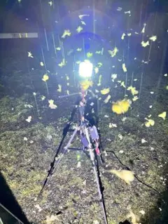 灯火採集 ライトトラップ 紫外線放出加工 35W 三脚付 8mシガー電源
