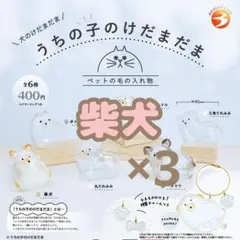 【柴犬】 うちの子のけだまだま 犬のけだまだま バラ売り ３つ