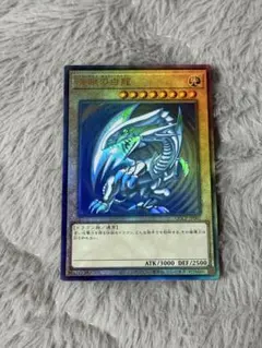 青眼の白龍 (遊戯王OCG)