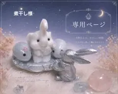 【専用ページ】煮干し様 ★2026年9月15日(火)中まで