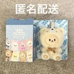 SKZOO SECRET KEYRING TOY Ver Foxl.ny - メルカリ