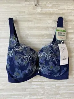 E80」トリンプ 天使のブラ(R) 魔法のハリ感580 ノンワイヤーブラジャー