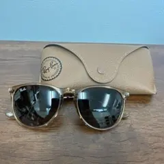 ★ケース付★RayBan ERIKA RB4171-F サングラス