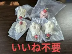 ホイップわんちゃんのくらし