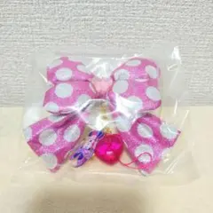 キーチェーン　シークレット　ミニー 2026 ディズニー パルパルーザ