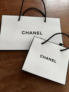 CHANEL ショップ袋 大小セット