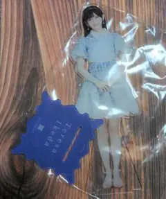 乃木坂46 池田瑛紗 lucky bag まとめ売り アクスタ キーホルダー他 乃木坂46 池田瑛紗 lucky bag まとめ売り アクスタ キーホルダー他