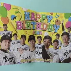 Item thumbnail for item eb69cea1-84a6-443a-9876-e485b9e25c66