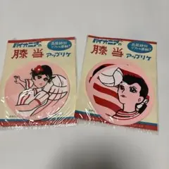 パイオニア 膝当 アップリケ 2枚セットのサムネイル