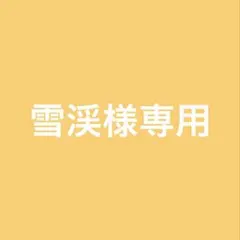未使用品 EcoFlow Alternator Charger 500W - メルカリ