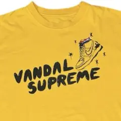 激レアNIKEナイキバンダルTシュプリームdryfitステューシーsupreme