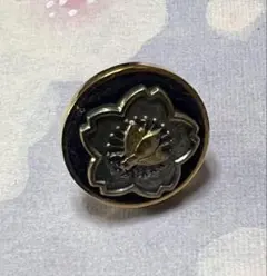 Item thumbnail for item 970170c8-3466-419d-999d-f78be46aa943