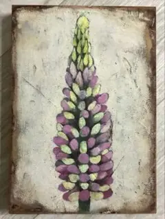 ルピナスの花　SMサイズ