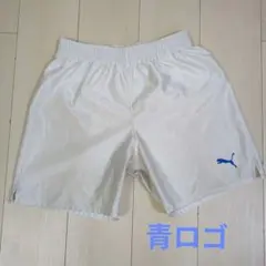 Item thumbnail for item 6f73a419-7220-417c-bf0f-01754e0e285e