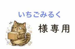 平成ギャルストラップ　1点100円　匿名配送