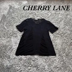 CHERRY LANE 透かし編み 半袖サマーニット 異素材切替 Uネックのサムネイル