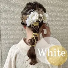 Item thumbnail for item 171ad5e2-421d-48ae-b9df-f804f03b2471