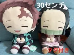 鬼滅の刃　30センチ　ぬいぐるみ大　炭治郎＆ねずこ　セット　竈門兄妹2体　タグ付